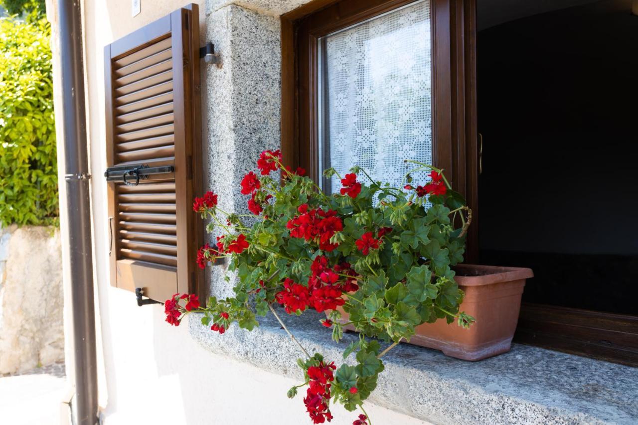 Ap. Lancillotto - Lago Di Garda Tremosine Exterior foto